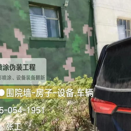 双鸭山数码迷彩漆施工